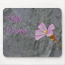 Suche nach geburtstag mousepads Rosa