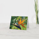 Suche nach paradiesvögel karten Tropische blumen