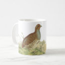 Suche nach rebhuhn tassen Vogel