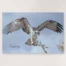 Suche nach raubvogel puzzle Natur