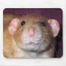 Suche nach lustige ratte mousepads Süß