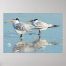 Suche nach atlantic ocean poster Beach