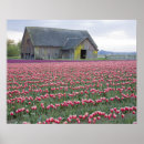 Suche nach bärn blume poster Farbe