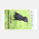 Suche nach schwarzes labrador aufkleber Haustiere