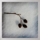 Suche nach zweigen poster Schnee