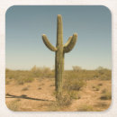 Suche nach kaktus untersetzer Saguaro
