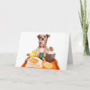 Suche nach kranker hund karten Gut werden