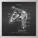 Suche nach physiotherapeut poster Doctor