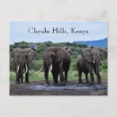 Suche nach wasserloch poster Tiere