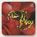 Suche nach umwelt untersetzer Tiere