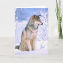 Suche nach wolf im schnee karten Wild lebende tiere