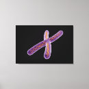 Suche nach desoxyribonukleinsäure poster Biochemie