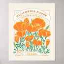 Suche nach poppy poster Wildflower
