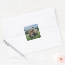 Suche nach nashorn aufkleber Tier