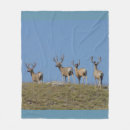 Suche nach maultier decken Hirsche