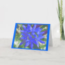 Suche nach ruhm karten Blume