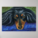 Suche nach dachshund dog kunst poster Pet
