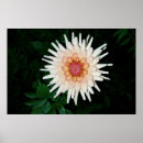 Suche nach kühl poster Blatt