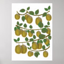 Suche nach kiwi poster Cartoon