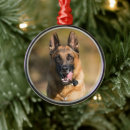 Suche nach german ornamente Puppy