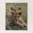 Suche nach african puzzle Wild