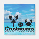 Suche nach garnelen magnete Krebstiere