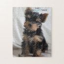 Suche nach yorkie puzzle Puzzlespiel