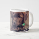 Suche nach labrador retriever tassen Schokoladenlabrador