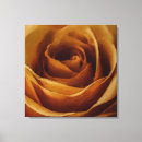 Suche nach gelbe rosen leinwandbilder Elegant