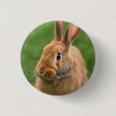 Suche nach kaninchen buttons Schön