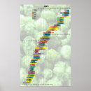 Suche nach hopfen poster Brauen