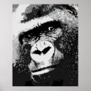 Suche nach coole affen poster Tier
