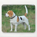 Suche nach jagd mousepads Haustier