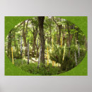 Suche nach oboe poster Schilfe