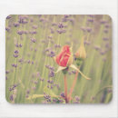 Suche nach rosen blumen mousepads Fotografie