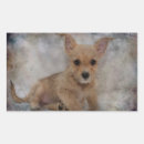 Suche nach yorkie aufkleber Haustier