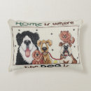 Suche nach petlover Welpe