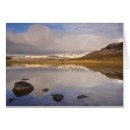 Suche nach schilfe postkarten Ruhig