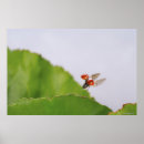 Suche nach bewegungen kunst Tiere