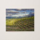 Suche nach weinberge puzzle Landwirtschaft