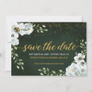 Suche nach glühwürmchen postkarten Waldland