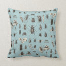 Suche nach wanzen kissen Insekten