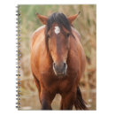 Suche nach mustang kleine notizbücher Senf