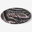 Suche nach gitarren teller Für ihn