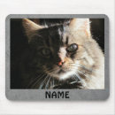 Suche nach schaffen mousepads Katze
