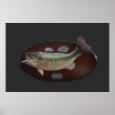 Suche nach süßwasser poster Bass