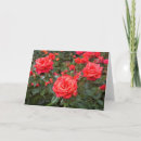 Suche nach prüfung karten Blume