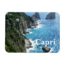 Suche nach capri magnete Souvenir