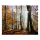 Suche nach spuk wald poster Herbst