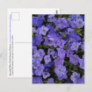 Suche nach blumenmotive postkarten Botanisch